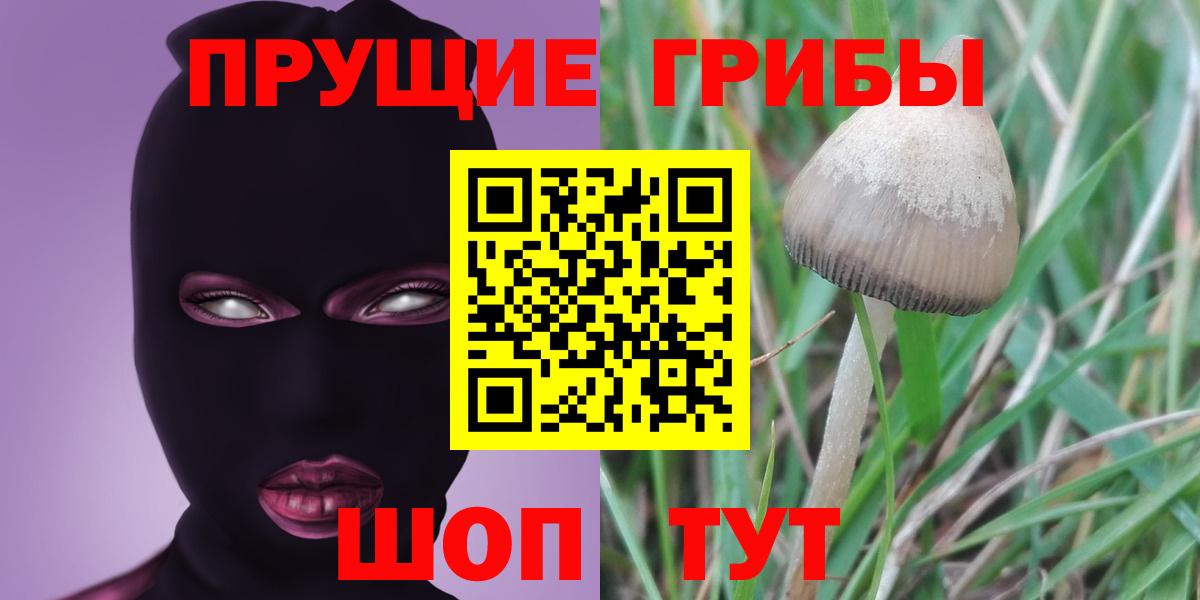 Галлюциногенные грибы MAGIC MUSHROOMS  Вход с VPN  Уварово  купить наркотики сайты  Псилоцибиновые грибы Cubensis 